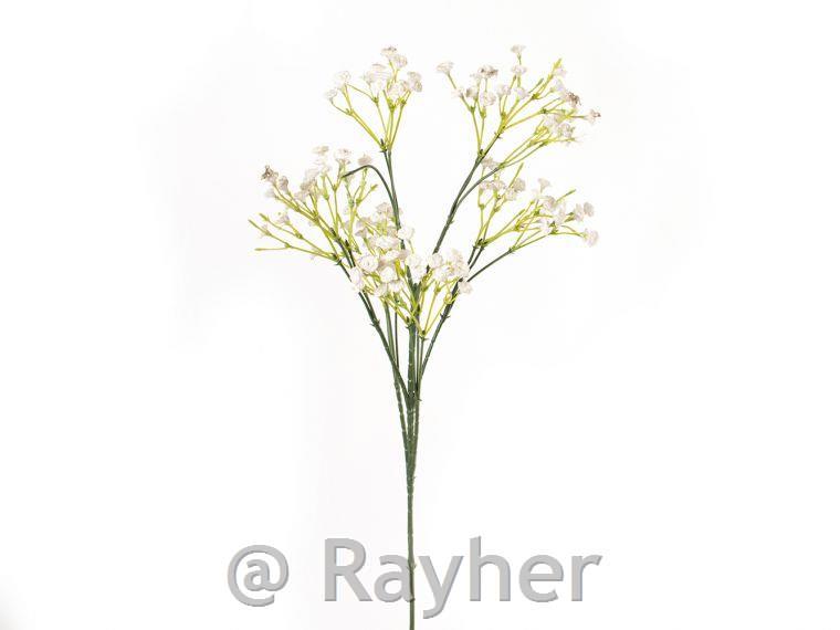 Paniculata, bijela, 67cm