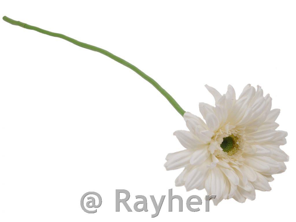 Gerbera, bijela, 64 cm