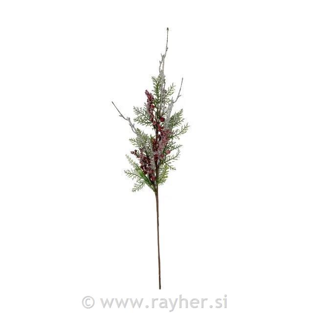 Grana s bobicama, zaleđena, 66 cm