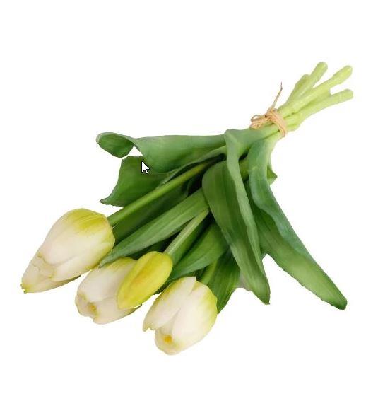 Buket tulipana, bijeli, 30cm, set 5