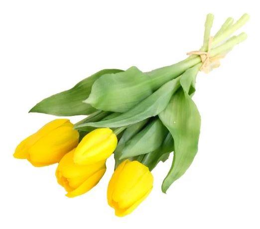 Buket tulipana, žuti, 30cm, set 5