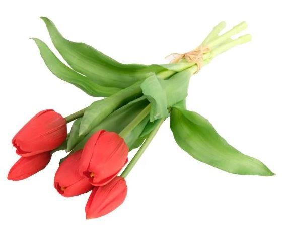 Buket tulipana, crveni, 30cm, set 5