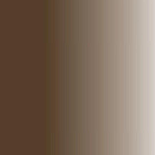 Akrilna boja Sys3 Fluid 29,5ml;Raw Umber