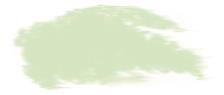 Suhe pastele, mekane, Grass Green (1)