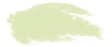 Suhe pastele, mekane, Sap Green (1)