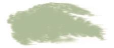Pastel mehki, green grey (2)