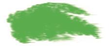 Suhe pastele, mekane, Grass Green (4)