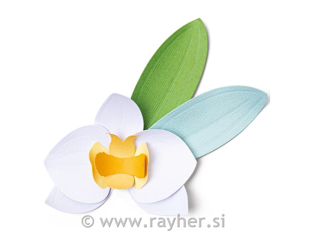 Sizzix Thinlits rezalne šablone, Orchid