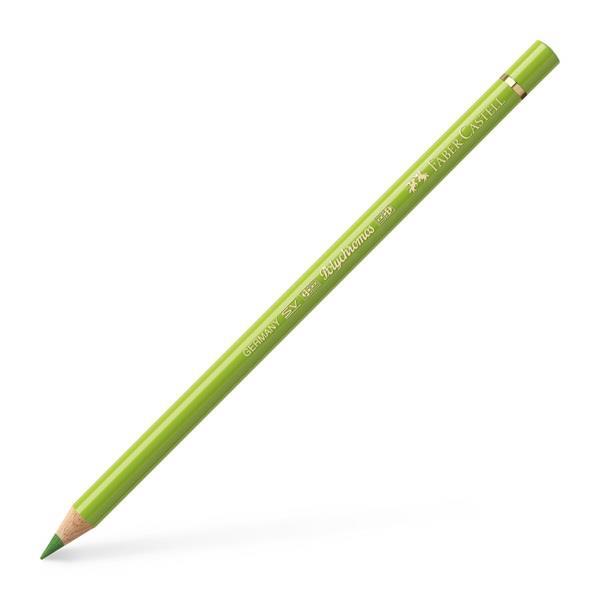 Bojica Polychromos 170 may green