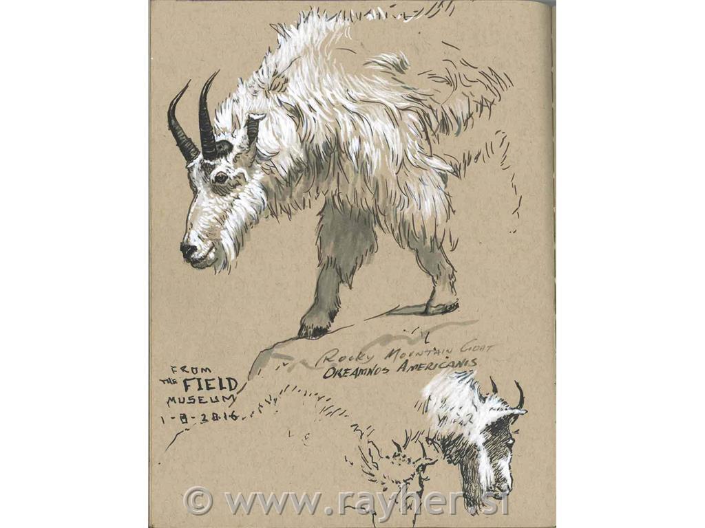 PITT artist pen 1,5 199 crni