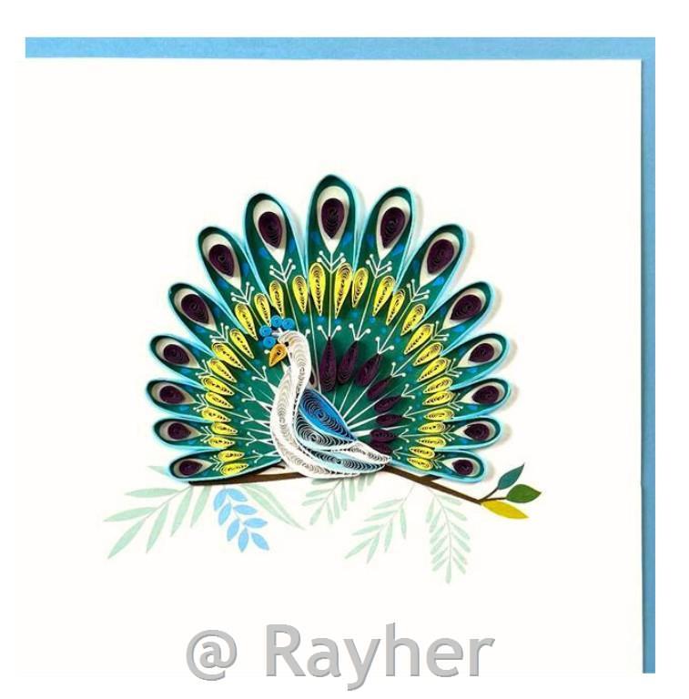 Čestitka Petit Pétales, Paun + kuverta