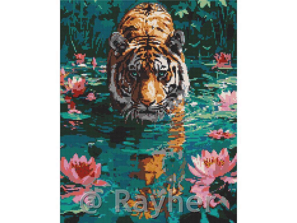 Dijamantni mozaik, A tiger on the hunt,40x50 cm