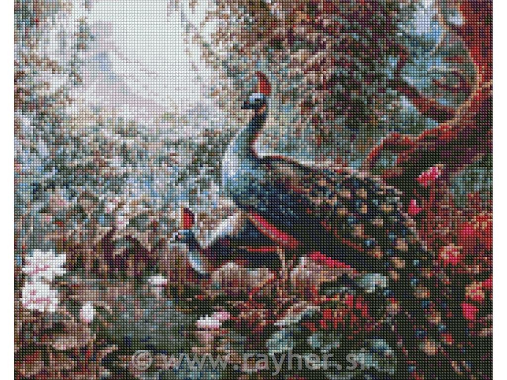 Dijamantni mozaik, Fairy tale peacocks, 40x50 cm