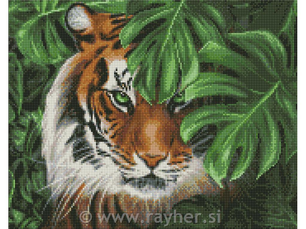 Dijamantni mozaik, Amur tiger, 40x50 cm