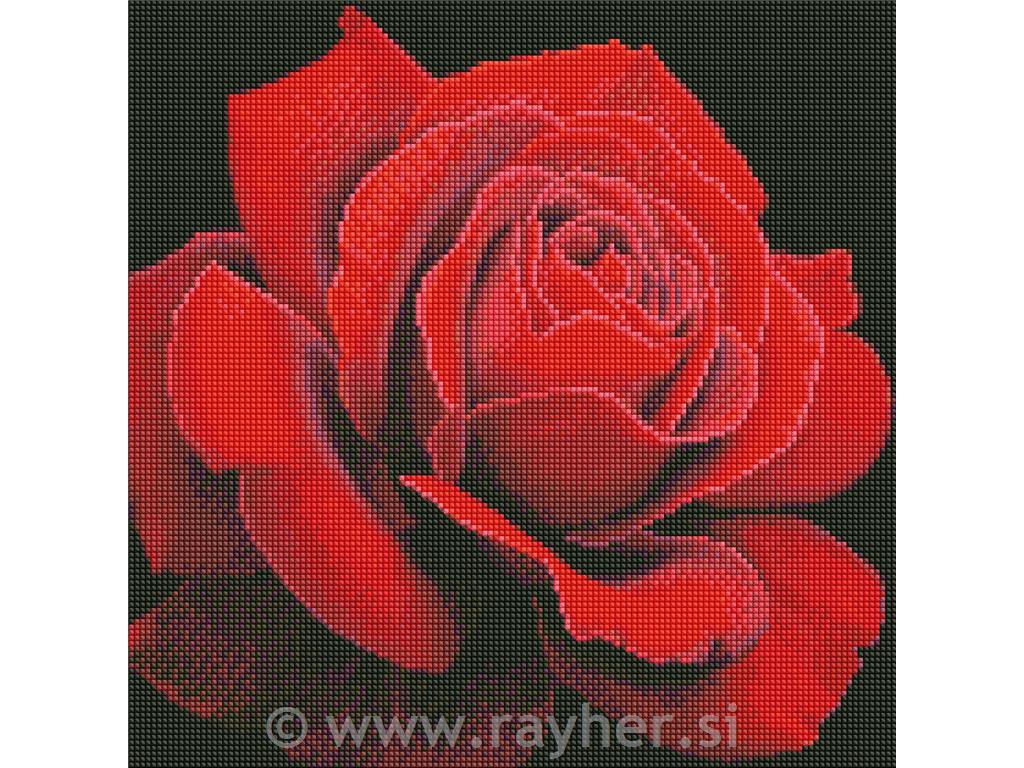 Diamond mosaic, Red rose, 40x40 cm