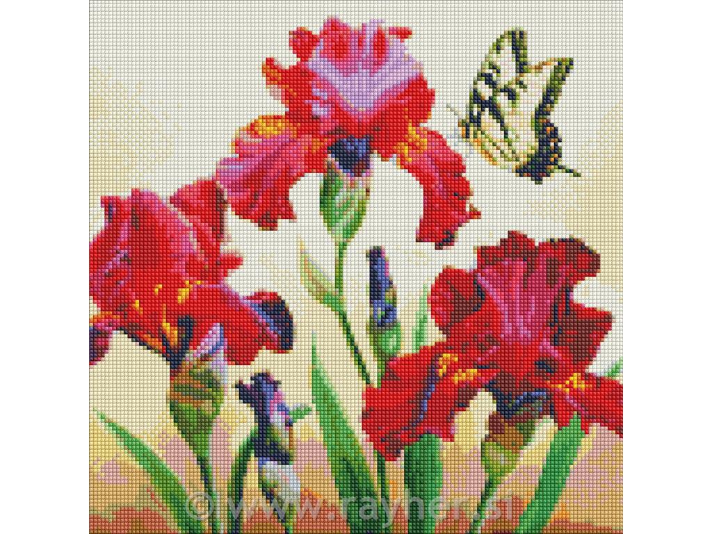 Dijamantni mozaik, Exquisite irises, 40x40 cm