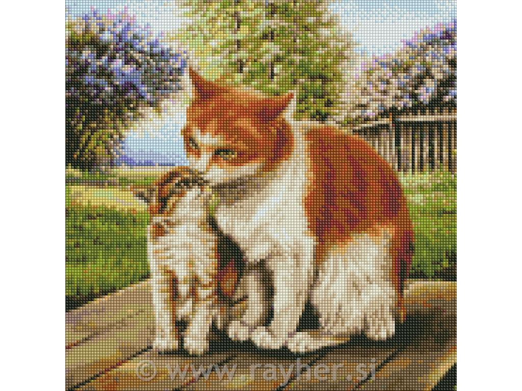 Dijamantni mozaik, Mother's warmth, 40x40 cm