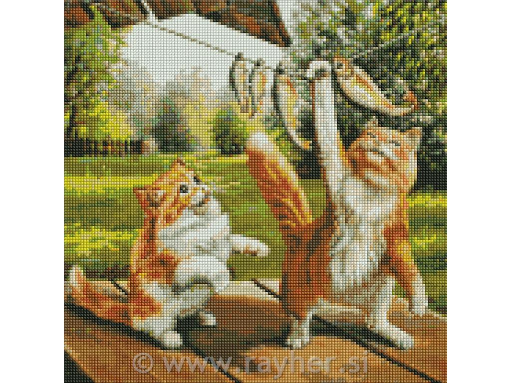 Dijamantni mozaik, Good catch, 40x40 cm