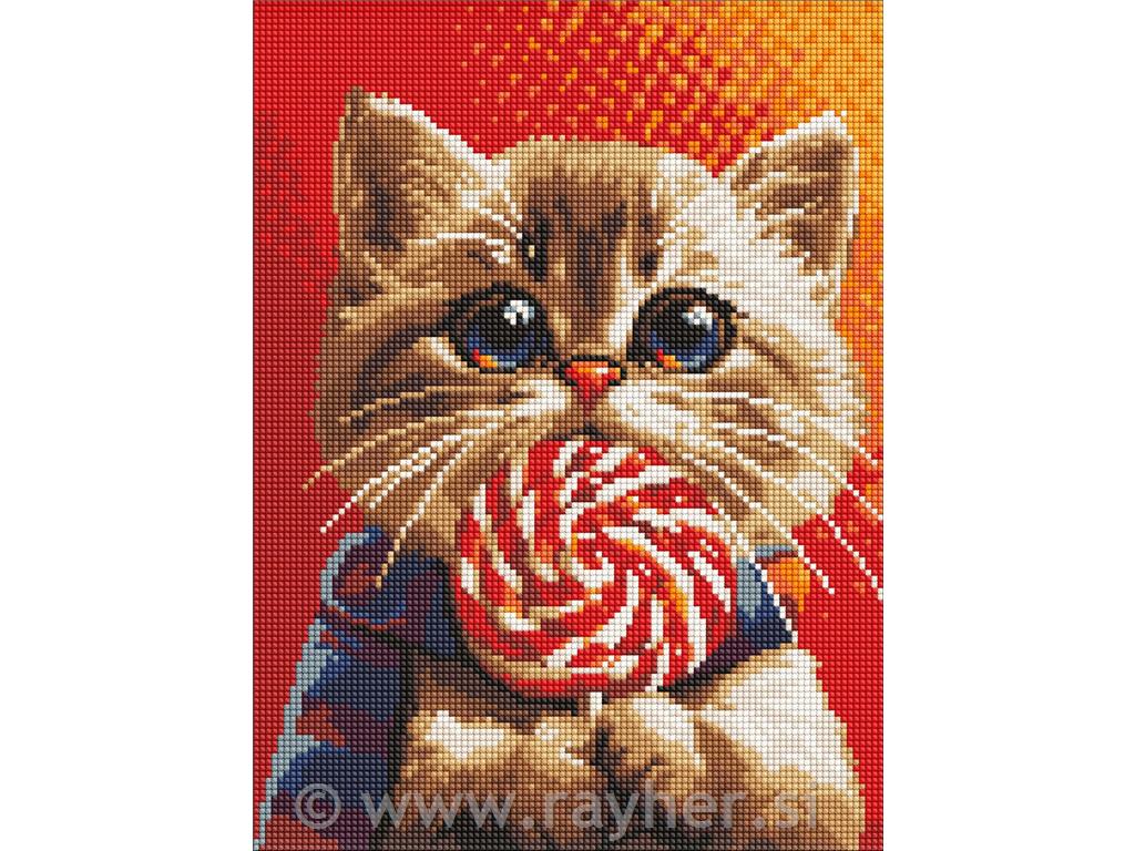 Dijamantni mozaik, A cat with a candy, 30x40 cm