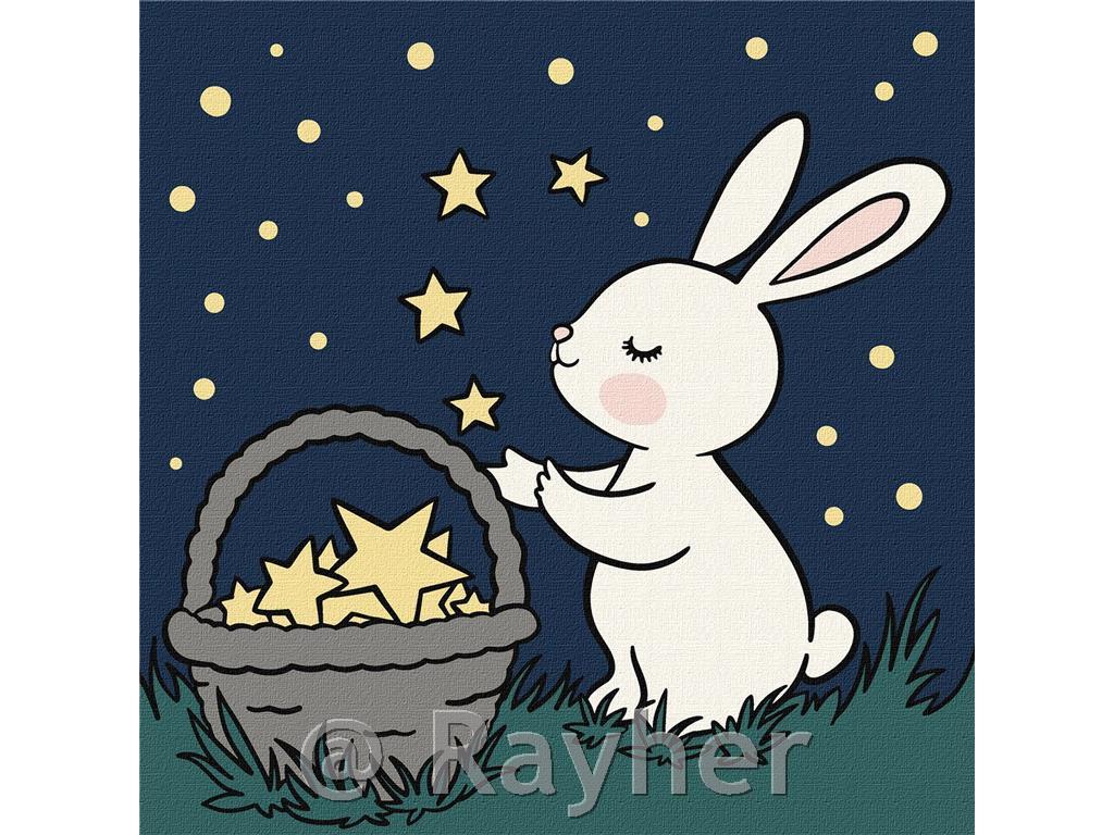 Slikanje po brojevima, Star Catcher, 25x25 cm