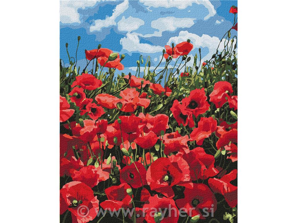 Slikanje po brojevima, Divine poppies, 40x50 cm