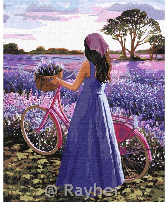 Slikanje po brojevima, Lavender inspiration, 40x50 cm
