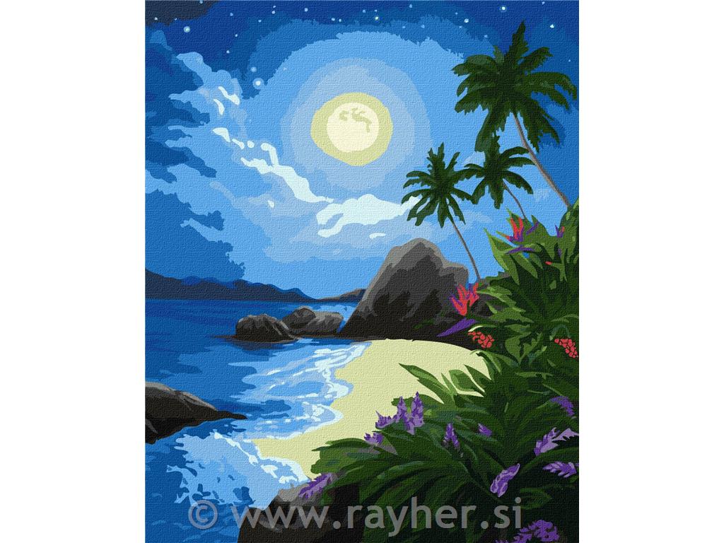 Slikanje po brojevima, Moonlight night, 40x50 cm