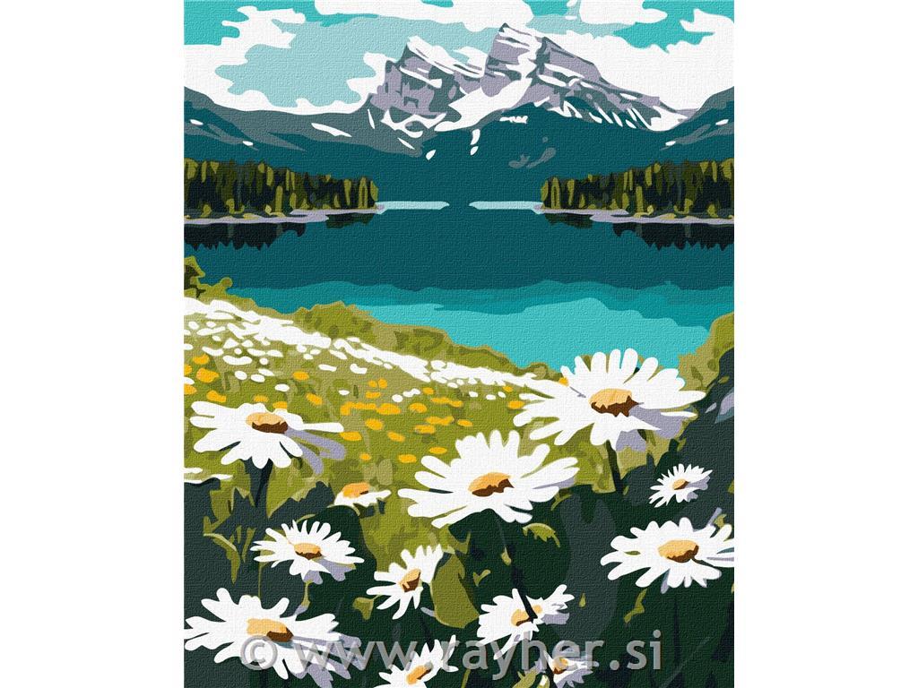 Slikanje po številkah, Blooming daisies, 40x50 cm