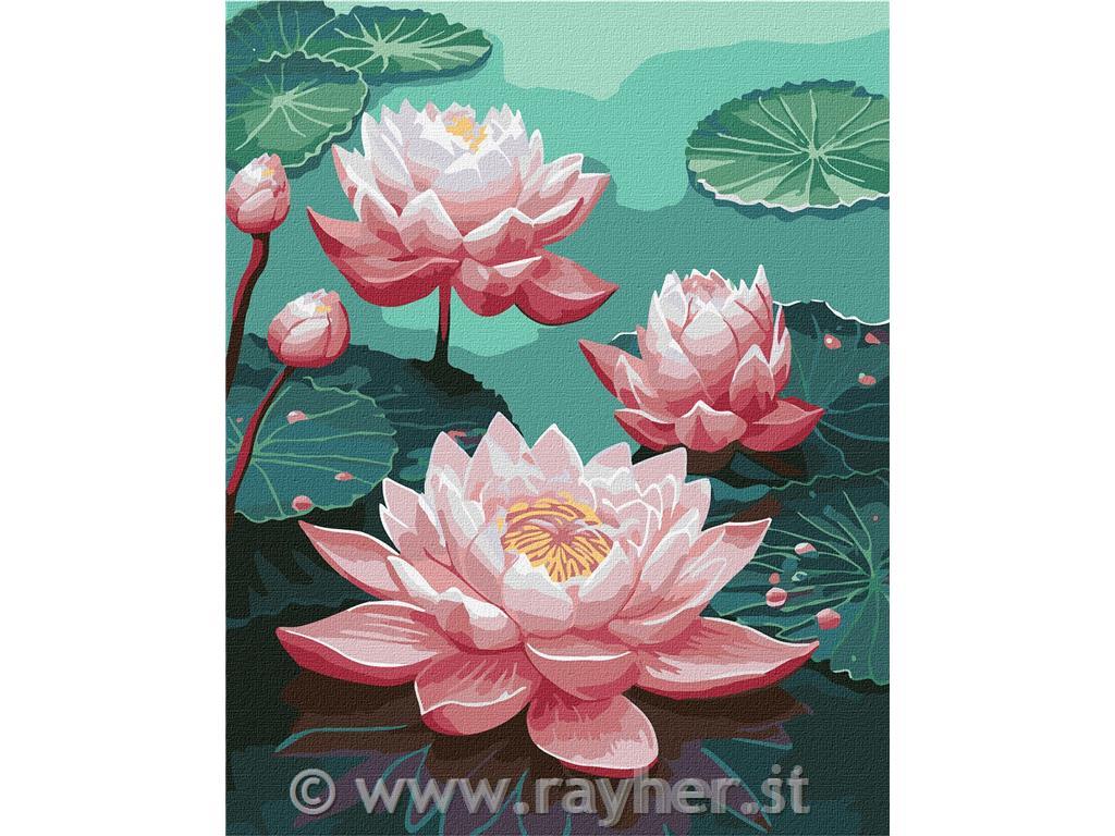 Slikanje po brojevima, Pink lilies, 40x50 cm