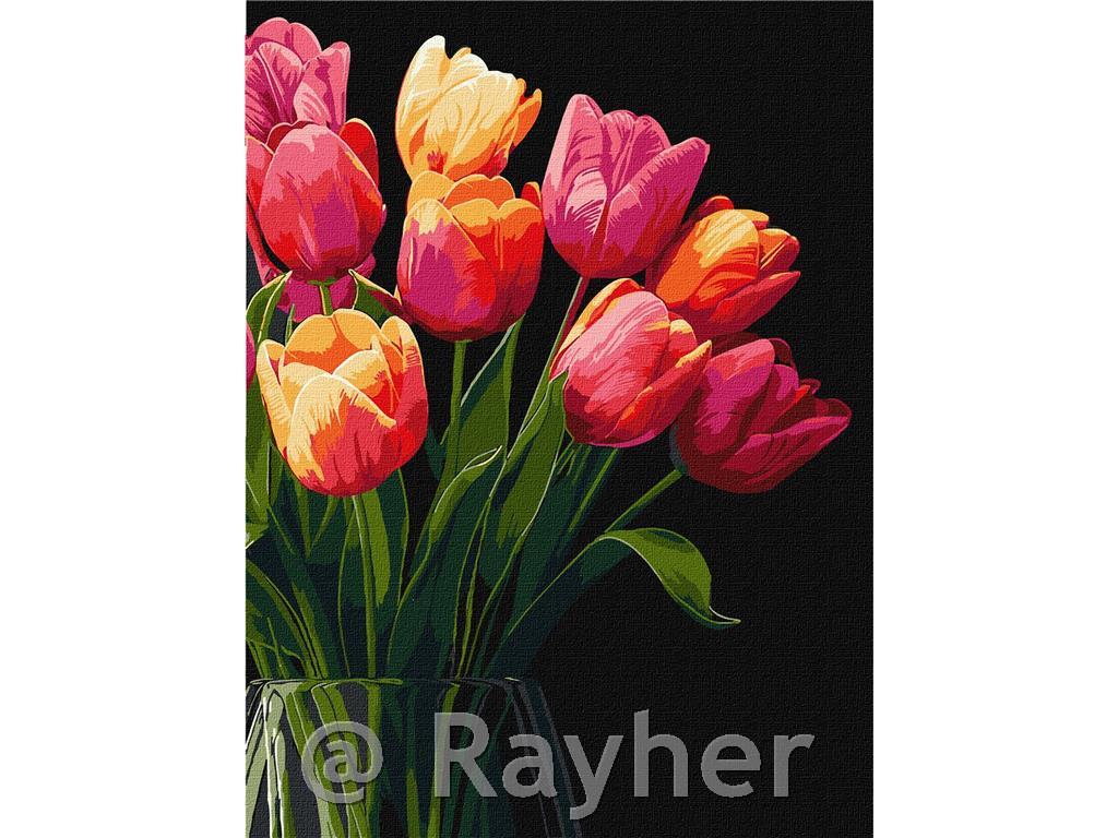 Slikanje po brojevima, Tulips scent, 30x40 cm