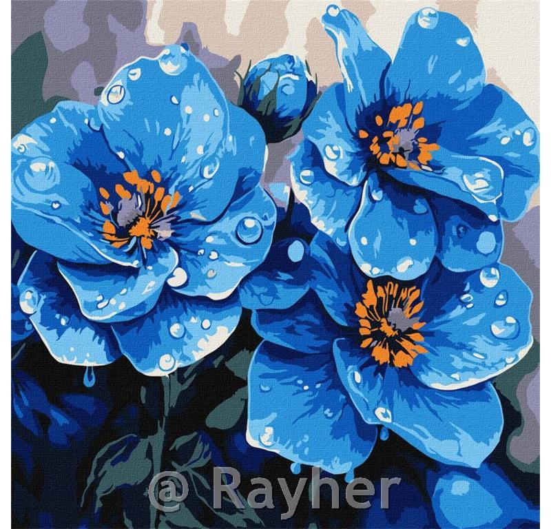 Slikanje po brojevima, Violets every morning, 30x30 cm