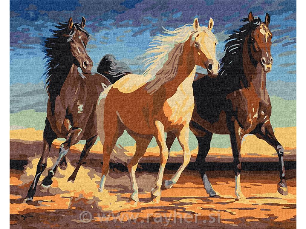 Slikanje po brojevima, Horses, 40x50 cm