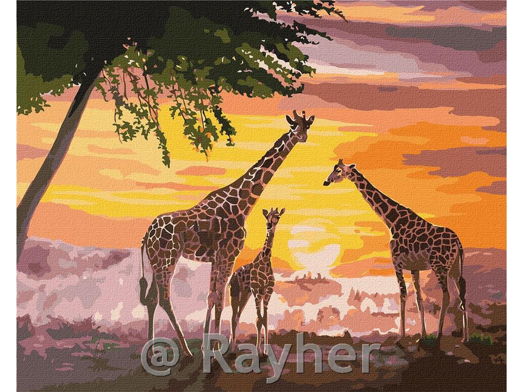 Slikanje po brojevima, A family of giraffes, 40x50 cm