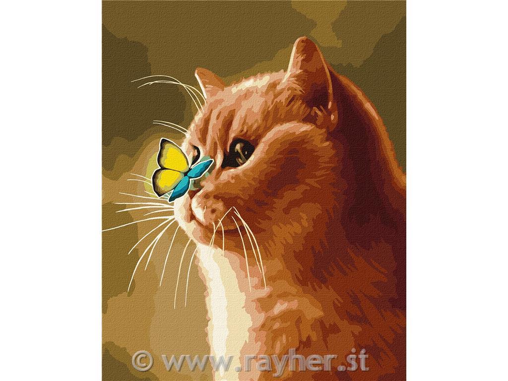 Slikanje po brojevima, A magical miracle, 40x50 cm
