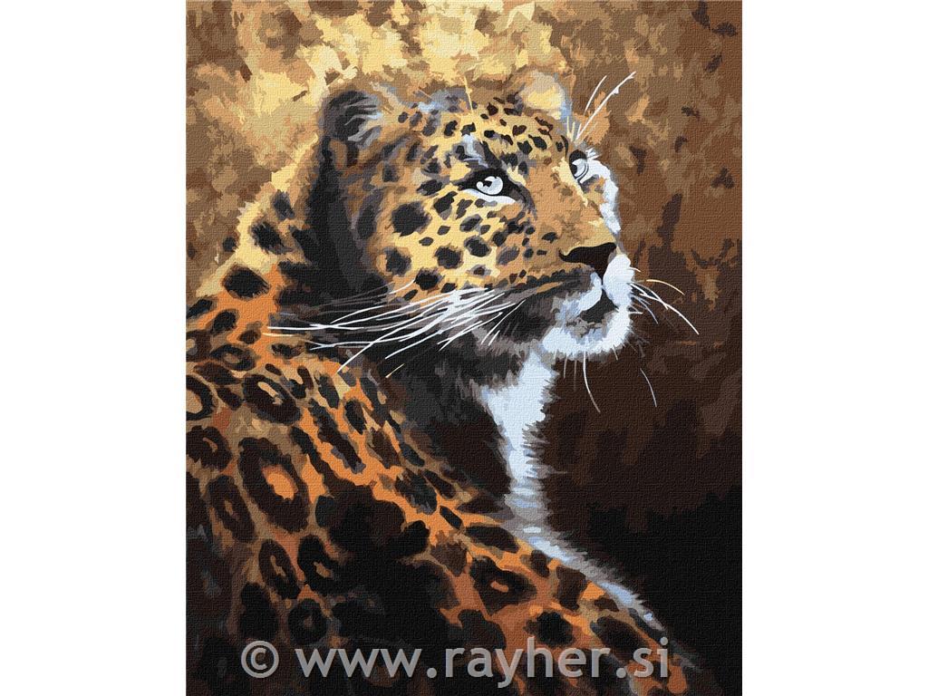 Slikanje po brojevima, A graceful predat, 40x50 cm
