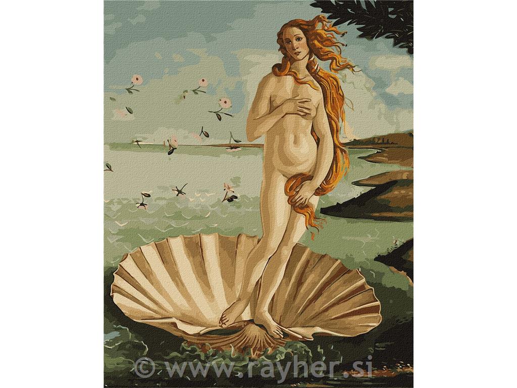 Slikanje po brojevima, Birth of Venus, 40x50 cm