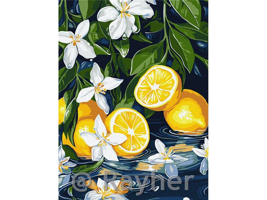 Slikanje po brojevima, Lemon in section,30x40 cm