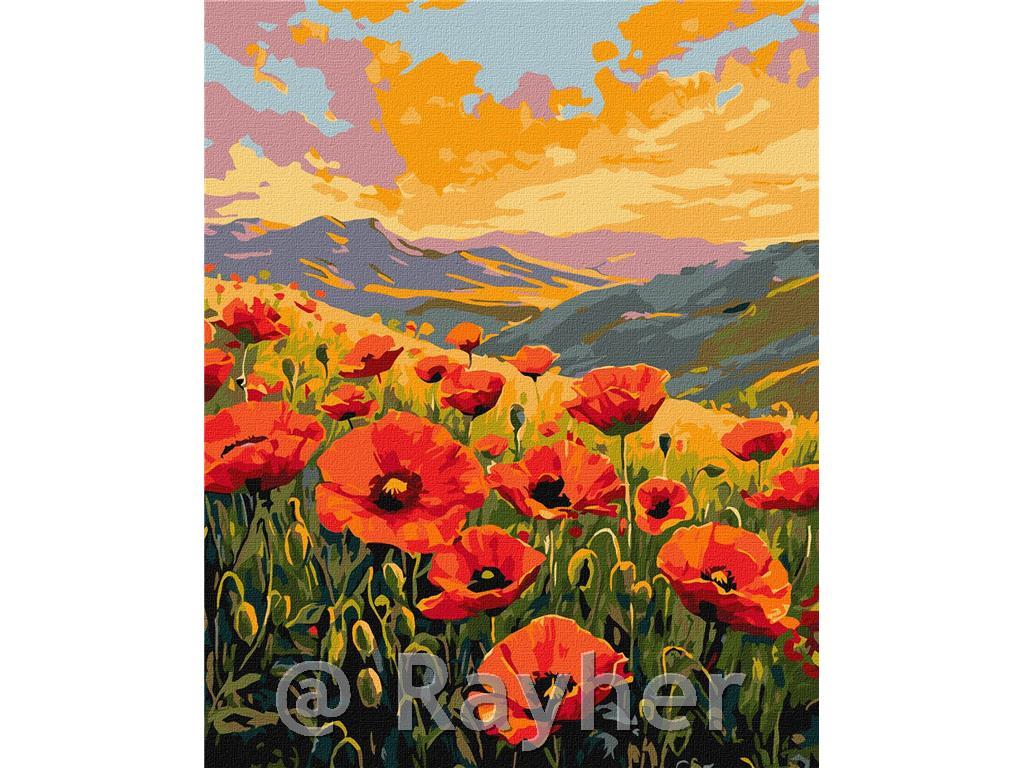 Slikanje po brojevima, Silence among thepoppies, 40x50 cm