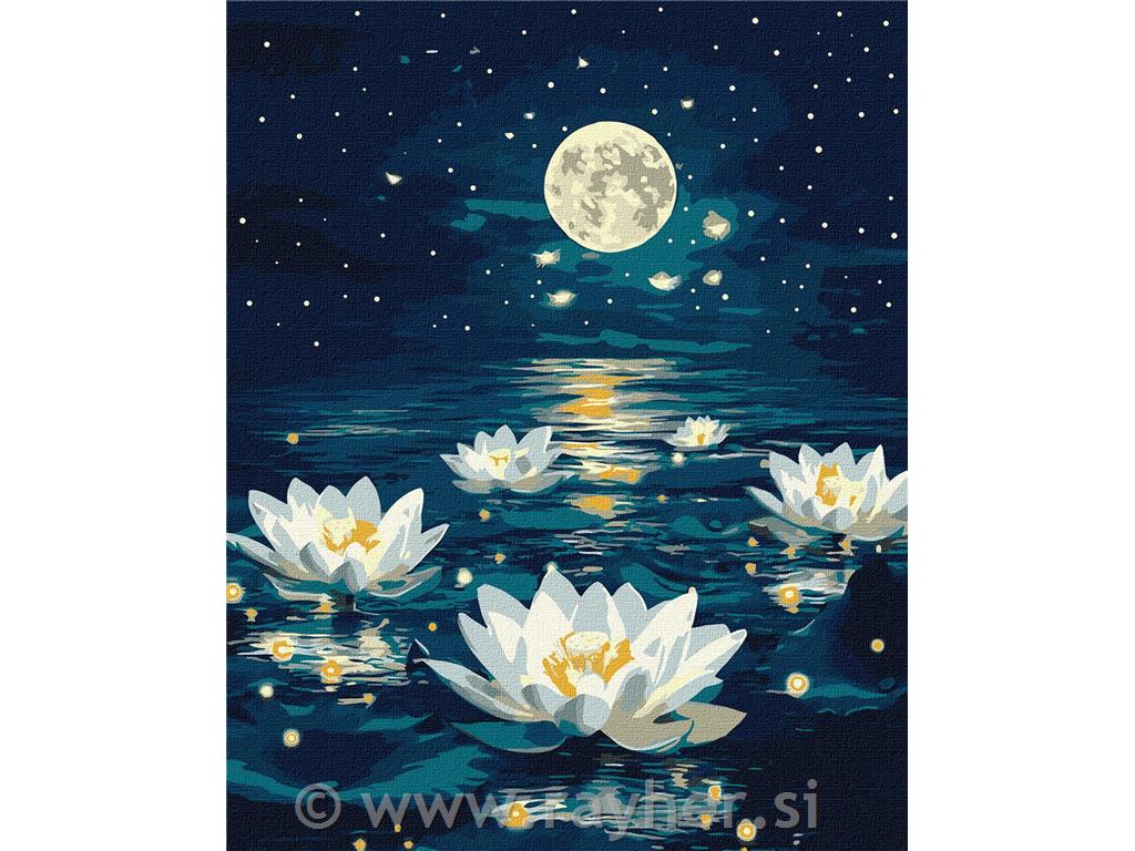 Slikanje po brojevima, Lotus under, 40x50 cm