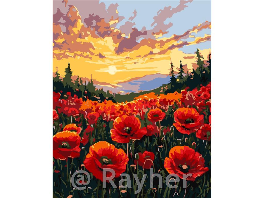 Slikanje po brojevima, A field of poppies, 40x50 cm