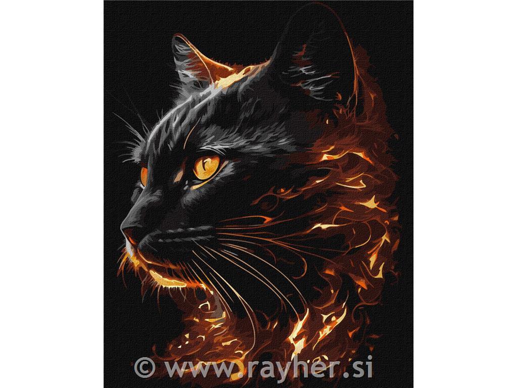 Slikanje po brojevima, Fiery Beauty, 40x50 cm