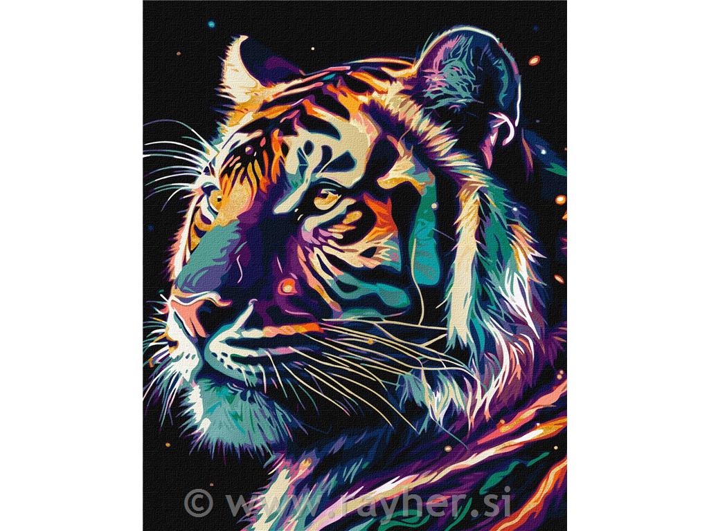 Slikanje po brojevima, Fantastic tiger, 40x50 cm