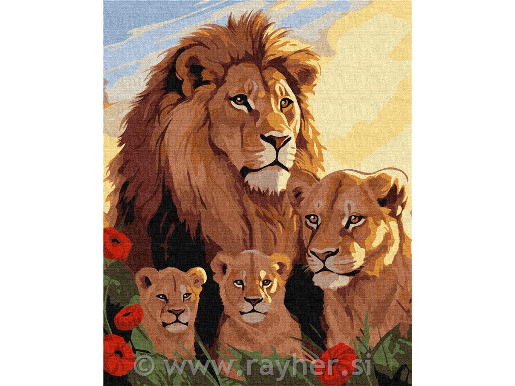 Slikanje po brojevima, Lion family, 40x50 cm
