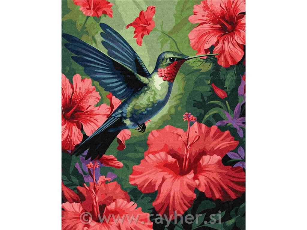 Slikanje po brojevima, In the Garden, 40x50 cm