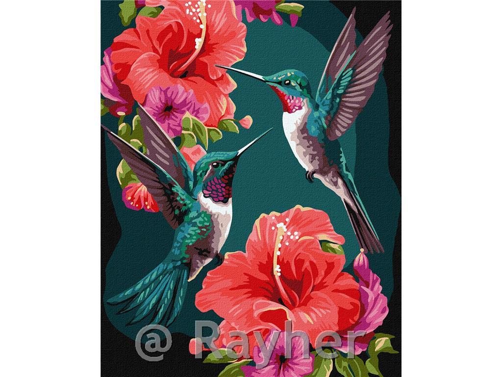 Slikanje po brojevima, Emerald hummingbirds, s metalnim bojama, 40x50 cm