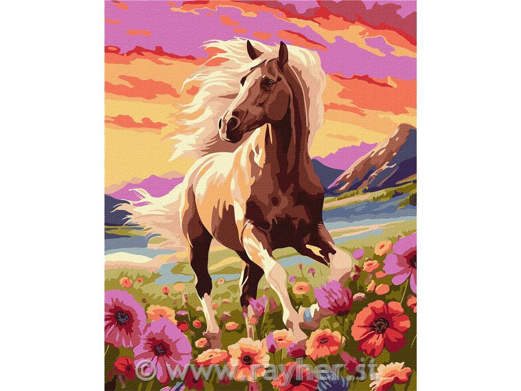 Slikanje po številkah, A graceful horse, 40x50 cm