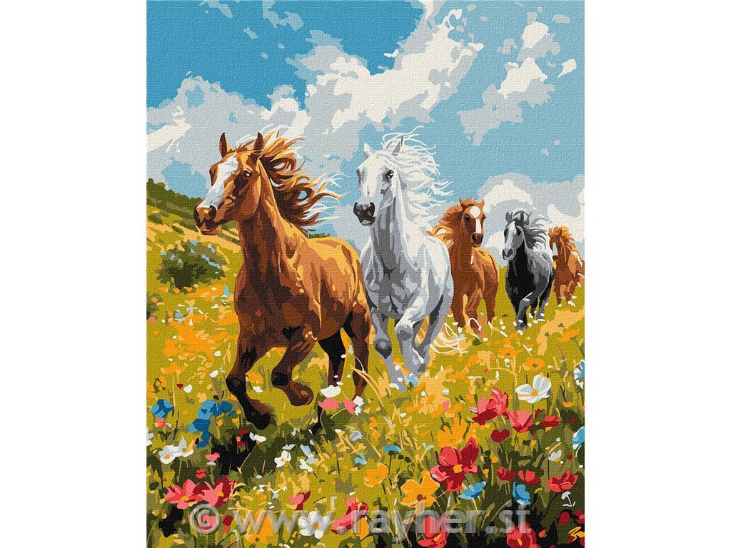 Painting by Numbers, Harmony in the fiel, 40x50 cm