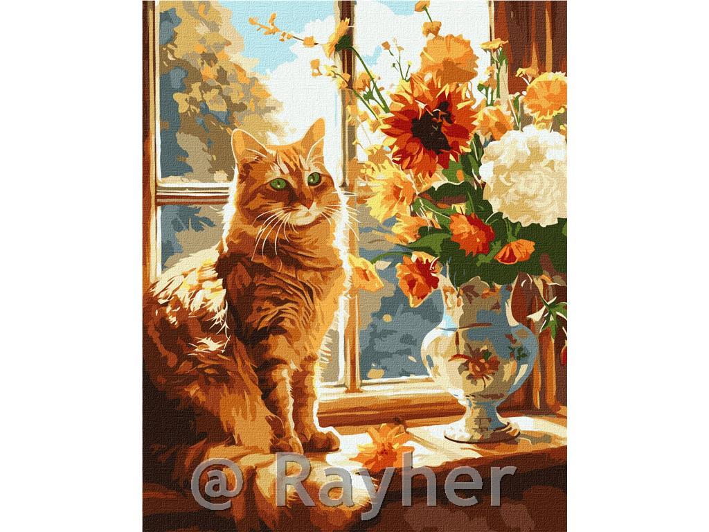 Slikanje po brojevima, Red kitty, 40x50cm