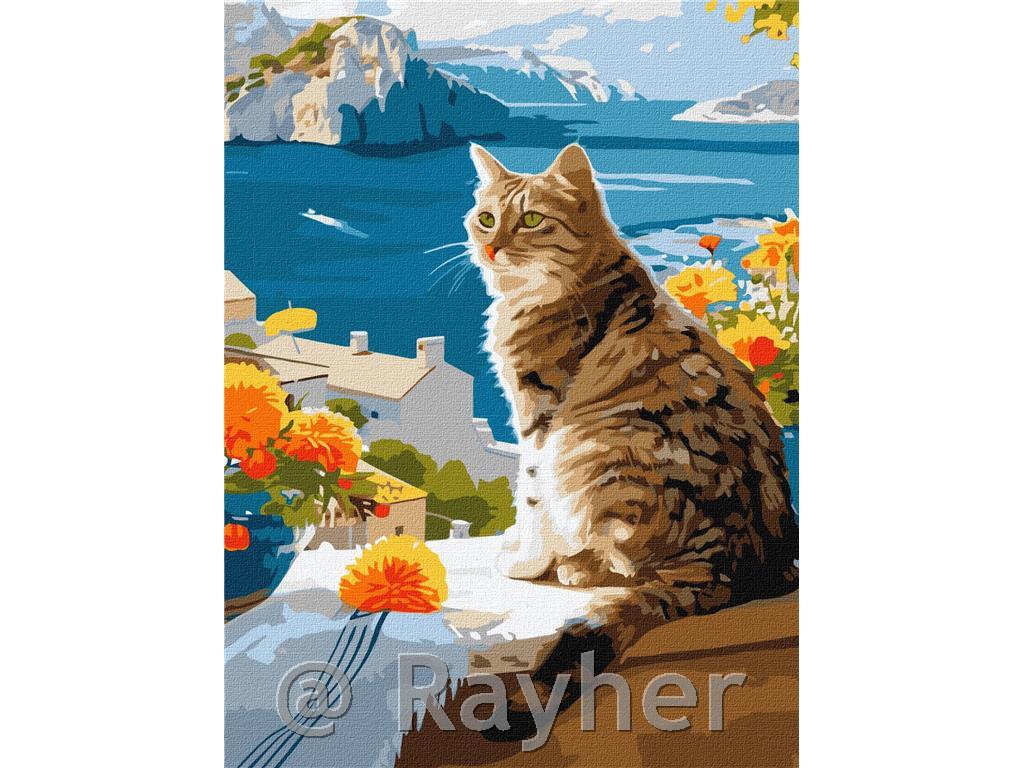 Slikanje po brojevima, A dreamy kitten,30x40 cm