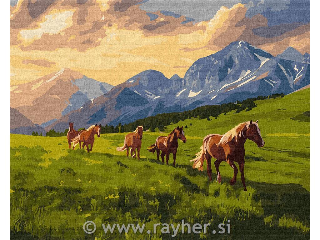 Painting by Numbers, Free spirits, 40x50 cm